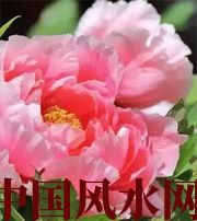 安阳预示你财运上升，姻缘可成的梦境，快来看看吧！
